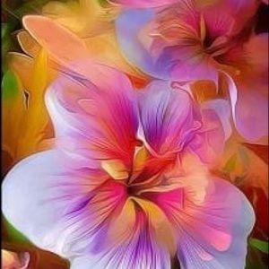 Meet your Posher, Ashlee